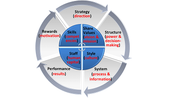 Adapted from Star Model (Jay Galbraith) and 7S Framework (Robert H. Waterman and Tom Perters) 350x200